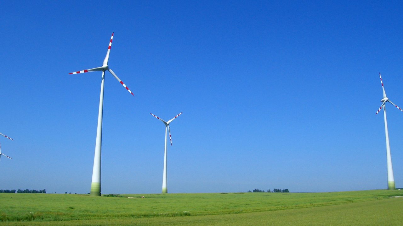 Energia, Greenpeace: «Bene voto Parlamento Europeo su aumento target rinnovabili, ma ancora troppo spazio a biocombustibili»