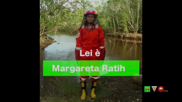 GREENPEACE – Campagna di sensibilizzazione contro distruzione delle foreste