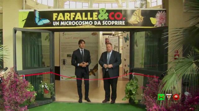 Bioparco di Roma – Farfalle & Co, un Microcosmo da scoprire