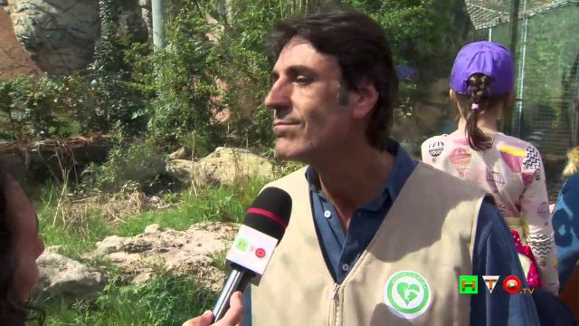 Al Bioparco di Roma è arrivata Tila, tigre di Sumatra – Intervista a Federico Coccia