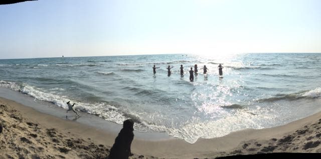 Baubeach®: la festa di Ferragosto