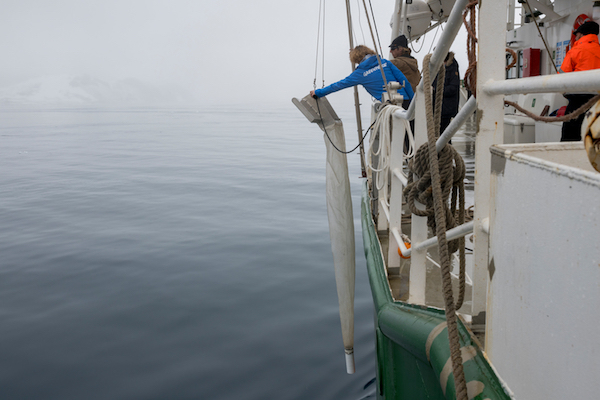 Spedizione di Greenpeace scopre preoccupanti livelli di inquinamento da plastica in Antartide
