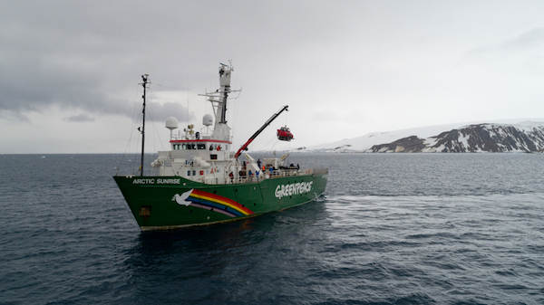 Greenpeace: le più grandi compagnie di pesca al krill si impegnano a tutelare l’Oceano Antartico