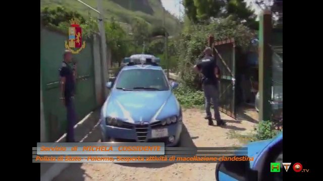Polizia di Stato – Palermo, Scoperta attività di macellazione clandestina