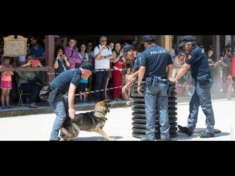 Polizia di Stato – Cinecittà World (RM), Divertimento e beneficenza con la Polizia – Esibizione delle unità cinofile