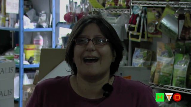 ARTIGIANI al QUADRARO  –  PART 2 of 4