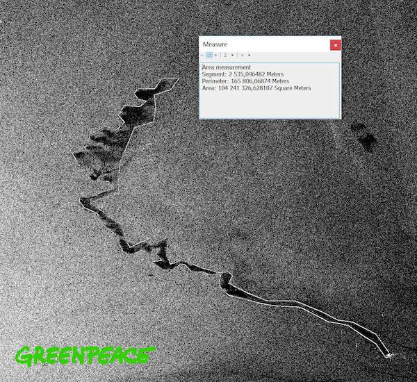 Collisione navi nel Santuario dei Cetacei, Greenpeace: «Immagini satellitari mostrano che contaminazione da idrocarburi interessa ormai oltre 100 chilometri quadrati»