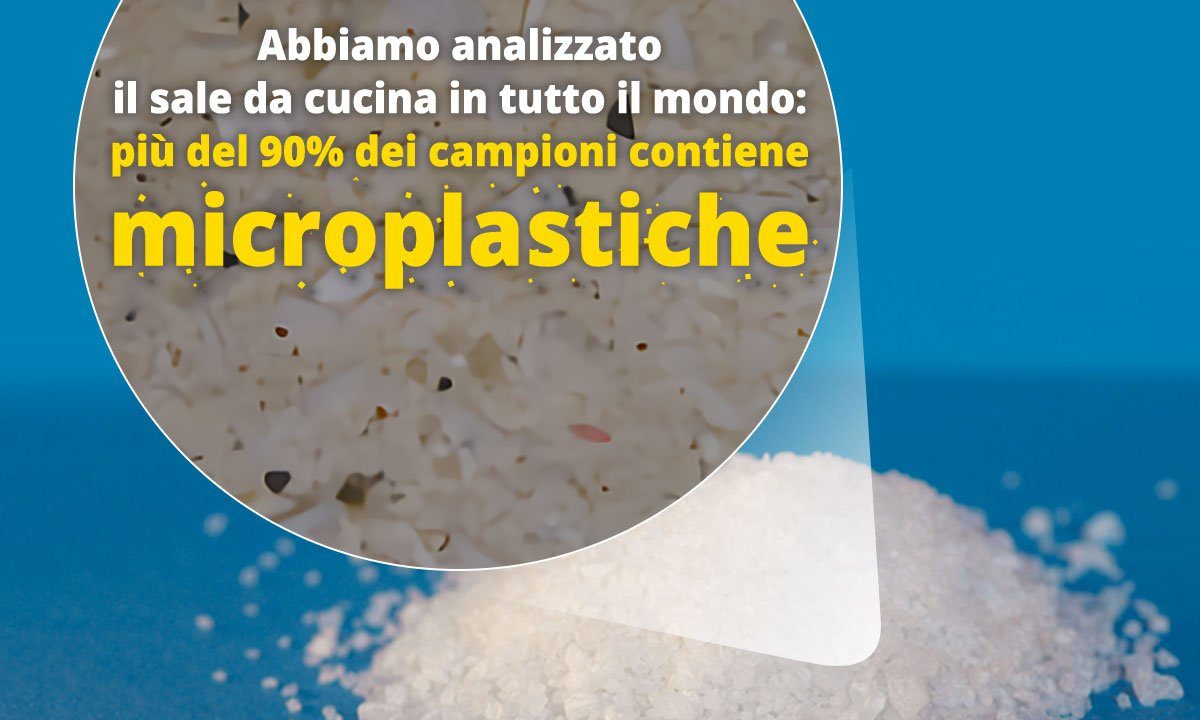 La microplastica nel sale da cucina, Greenpeace: “Più del 90% dei campioni contaminato”