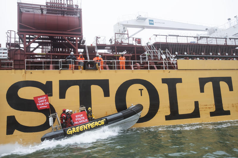 Greenpeace in azione al Porto di Rotterdam su Nave Cisterna con derivati dell’olio di palma prodotto distruggendo le foreste