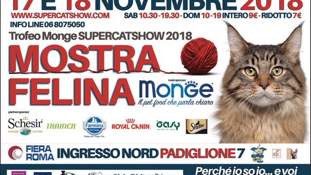Animali: Torna a Roma il SuperCat Show 2018, Mi-ci porti?