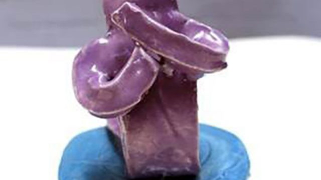 Nonostante Marras: mostra “Franko B, Lost boys e altre storie” da mercoledì 12 dicembre 2018