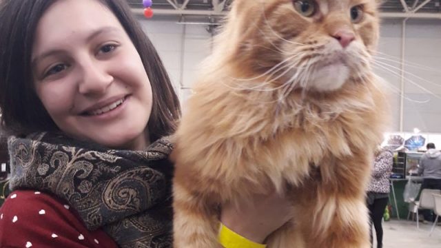 Mi-ci-porti? La XIX edizione del SuperCat Show chiude in bellezza…felina