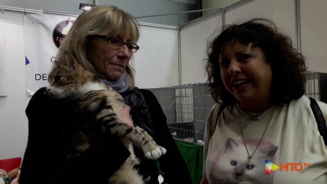 Mi-ci-porti? La XIX edizione del SuperCat Show chiude in bellezza…felina