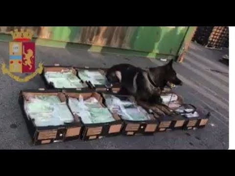 Polizia di Stato – Sequestrato un carico di 221 Kg di cocaina proveniente dal Costa Rica