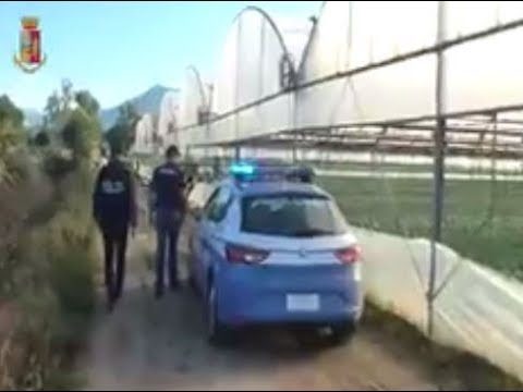 Polizia di Stato – Terracina (LT), 2 arresti per caporalato e sfruttamento del lavoro