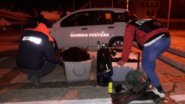 Lotta senza quartiere ai pescatori di frodo. La Guardia Costiera sequestra e restituisce al mare altri 7500 ricci di mare