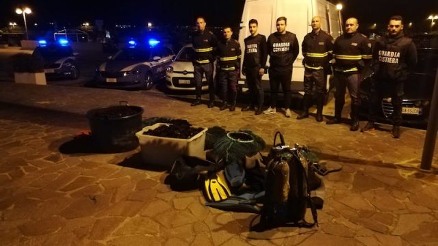 Inseguimento in autostrada: Guardia Costiera e Polizia Stradale mettono a segno un maxi sequestro di ricci di mare