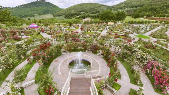 Nella “Wedding Night” de La Tacita brillano le eccellenze del Made in Italy