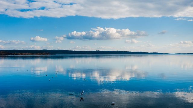 Trasparenza sui prelievi dal Lago di Bracciano: dal 22 marzo online i dati del misuratore