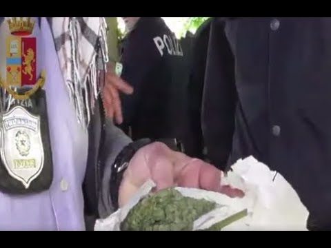 Polizia di Stato – Arezzo, Arrestate 40 persone per spaccio di droga ai giardini di Campo di Marte ed al Parco del Colle del Pionta