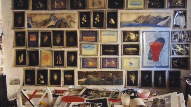 Nonostante Marras: mostra “Lucia Pescador. Quando si allarga l’aria: erbari e altre storie”