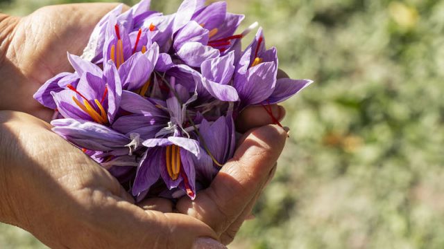Lo zafferano d’Abruzzo ti fa bella. A Roma l’evento di presentazione ufficiale di Tindora Cosmetics