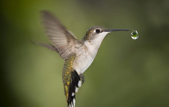 Happy Sea, Happy Earth! al BAUBEACH®: rivoluzione “plastic free” in 2 full week-end il 15 e 16 ed il 22 e 23 giugno