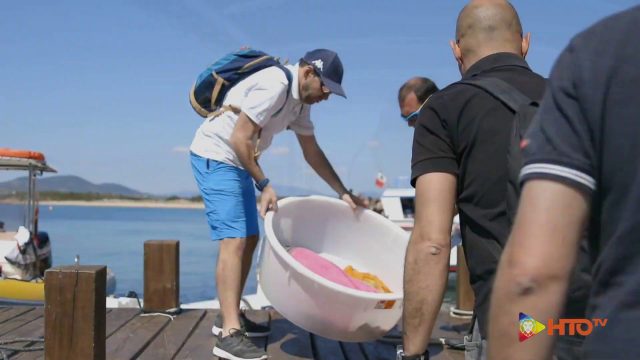 GREENPEACE: AMP di Tavolara e Regione Sardegna liberano una Tartaruga Caretta Caretta dalla spiaggia di Tramontana nell’Area Marina Protetta di Tavolara-Punta Coda Cavallo