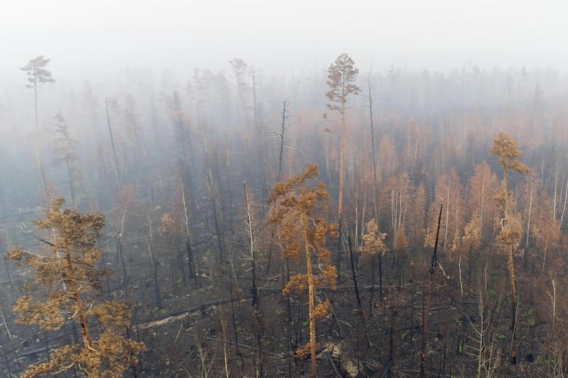 Greenpeace : in Siberia è emergenza climatica. Bruciata un’area grande come Lombardia e Piemonte messi insieme