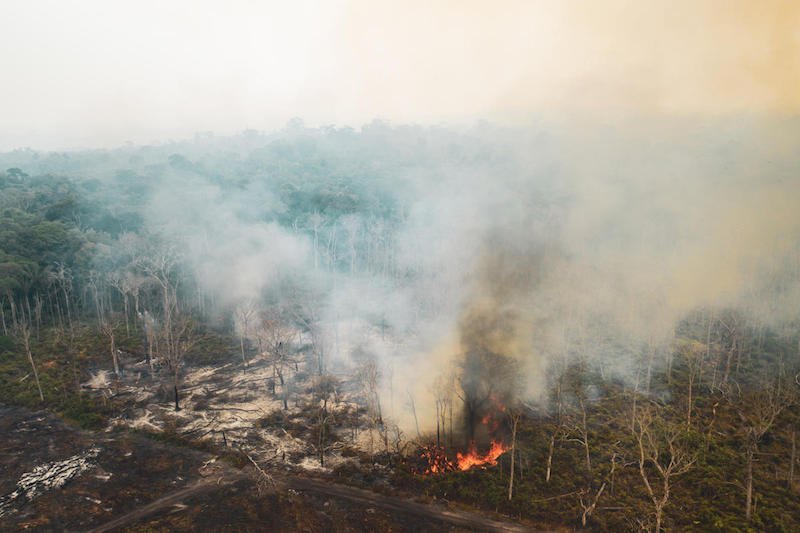 Greenpeace: in Amazzonia incendi +196%, da politica e multinazionali servono impegni concreti