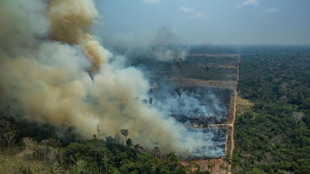 Greenpeace: in Amazzonia incendi +196%, da politica e multinazionali servono impegni concreti