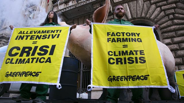 Greenpeace: sostegno alla protesta dei Fridays For Future, il Governo mostri coraggio e modifichi il PNIEC