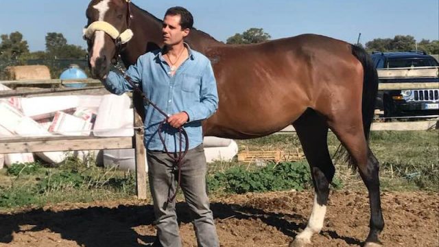 Groom indiano preso a catenate. Lorenzo Proia (Forum Antirazzista di Ostia Lido): “Un disonore per il mondo dell’Equitazione. Intervenga la FISE, mi appello a Marco Di Paola”