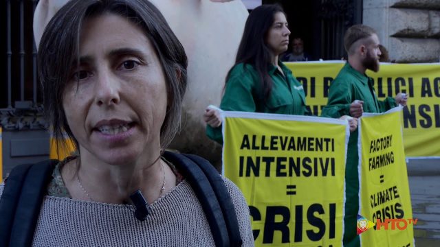 Greenpeace in azione davanti al Ministero delle Politiche Agricole: siamo in emergenza climatica, basta fondi pubblici al sistema degli allevamenti intensivi
