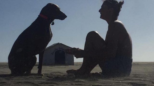 Dog Manager: il primo corso a tema targato Baubeach® da febbraio a giugno 2020