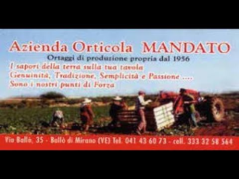 23a Edizione della Festa del Radicchio e dei Sapori della Tradizione Veneta a Mirano (VE) – Lo stand dell’Azienda Orticola Mandato