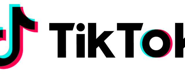 TikTok: il Garante privacy chiede una task force europea