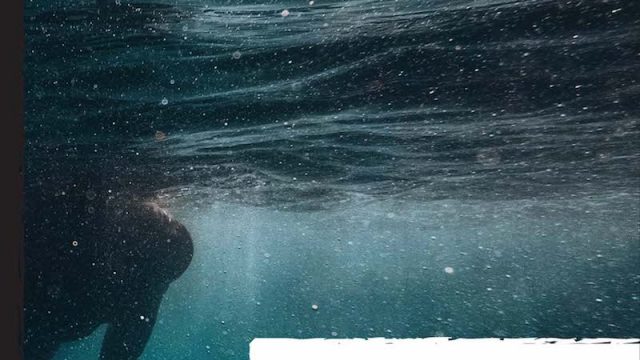 Scogliere d’ombra: dal 27 gennaio il nuovo romanzo di Marco Casula