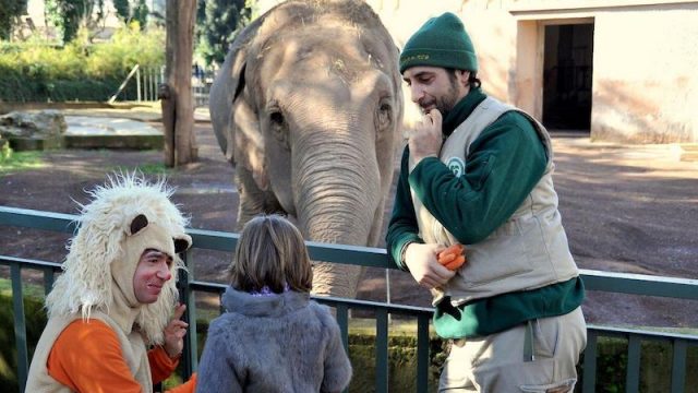 Domenica 23 febbraio 2020 Carnevale al Bioparco di Roma
