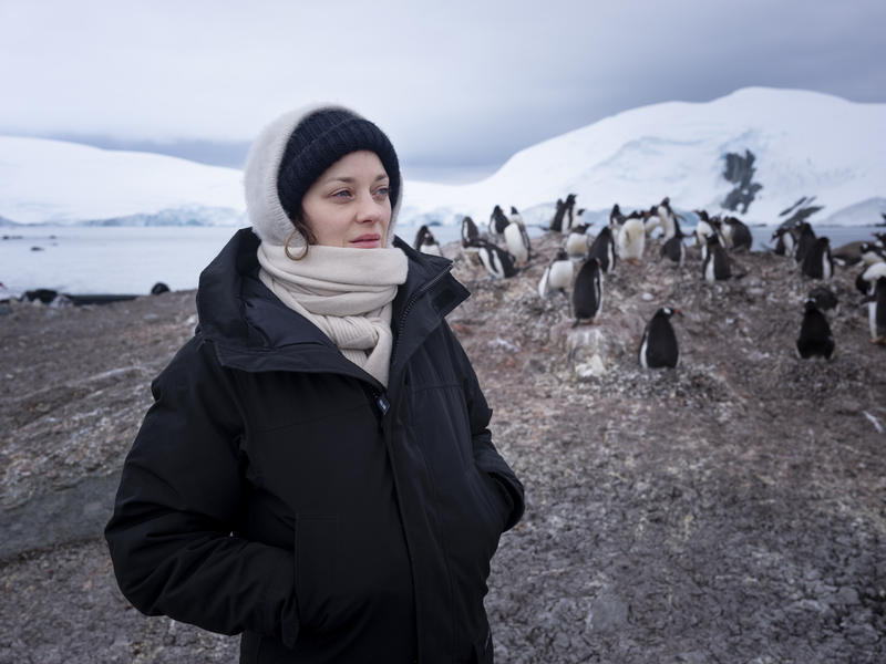 Clima: due navi di Greenpeace in Antartide per una missione scientifica