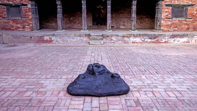 Namsal Siedlecki, Artist Talk: Progetto Crisalidi