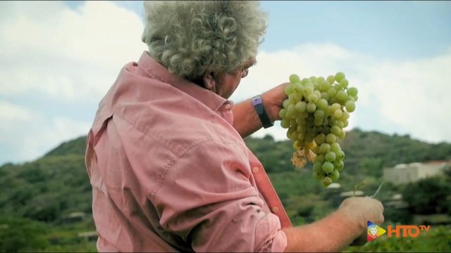 L’emozionante spot del Parco Nazionale dell’Isola di Pantelleria che vuole valorizzare le risorse e le bellezze dell’isola