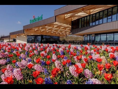 Keukenhof looks back on 2020 with pride