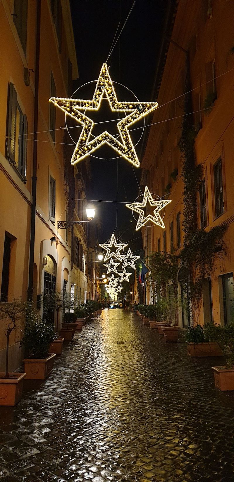 A Via Margutta e Via del Babuino brillano le Stelle e Luci di Natale