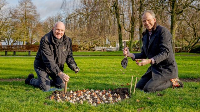 Astronaut André Kuipers plants the last flower bulbs in Keukenhof