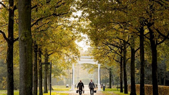 Keukenhof: a look behind the scenes – Keukenhof gardeners explain how to plant 7 million flower bulbs, an eight weeks spring opening takes ten months to prepare
