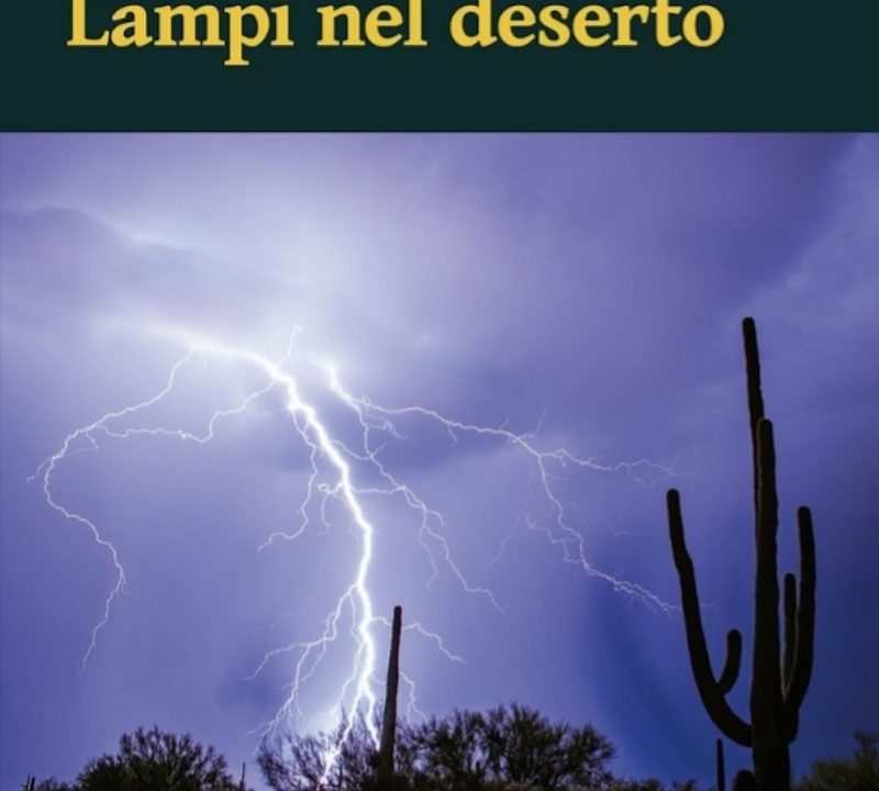 Uscirà il 15 dicembre “Lampi nel deserto” del giornalista Federico Cifani