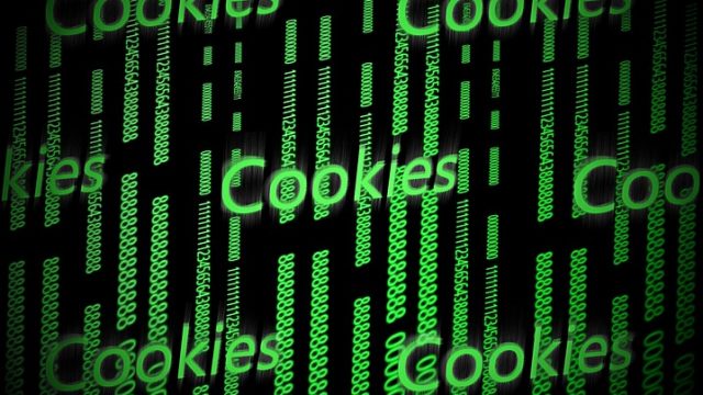 COOKIE: Il Garante Privacy avvia una consultazione pubblica sulle regole per il loro uso