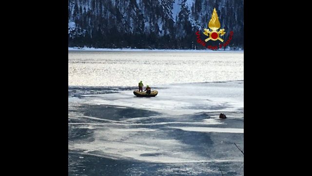 Vigili del Fuoco – Tarvisio (UD) Loc. Lago del Predil, Salvataggio Cervo rimasto bloccato tra i ghiacci del lago