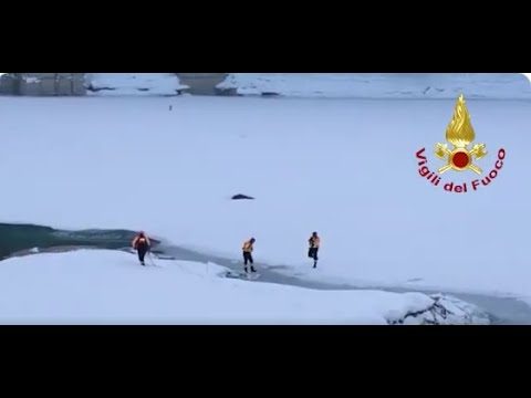 Vigili del Fuoco – Auronzo di Cadore (BL), Recuperata dal lago la carcassa di un cervo morto